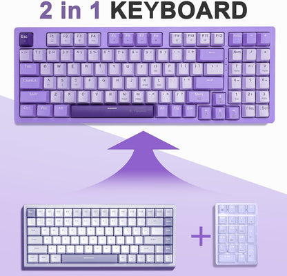 Mechanical Gaming Keyboard USB Wired Compact with Number Pad, Purple Led Backlit, Blue Switch, Detachable Type C Cable, 94 Keys for Pc/Computer/Laptop, White and Purple